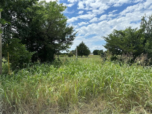 Media Image 3