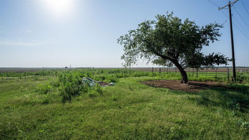 Media Image 3