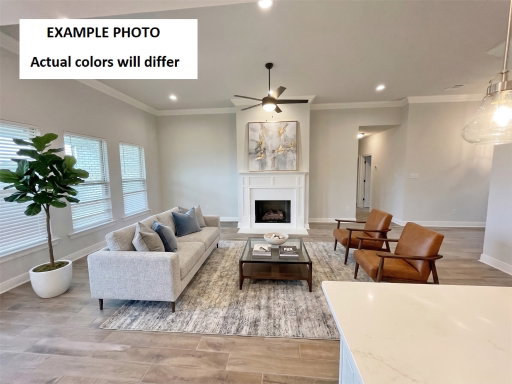 Media Image 2