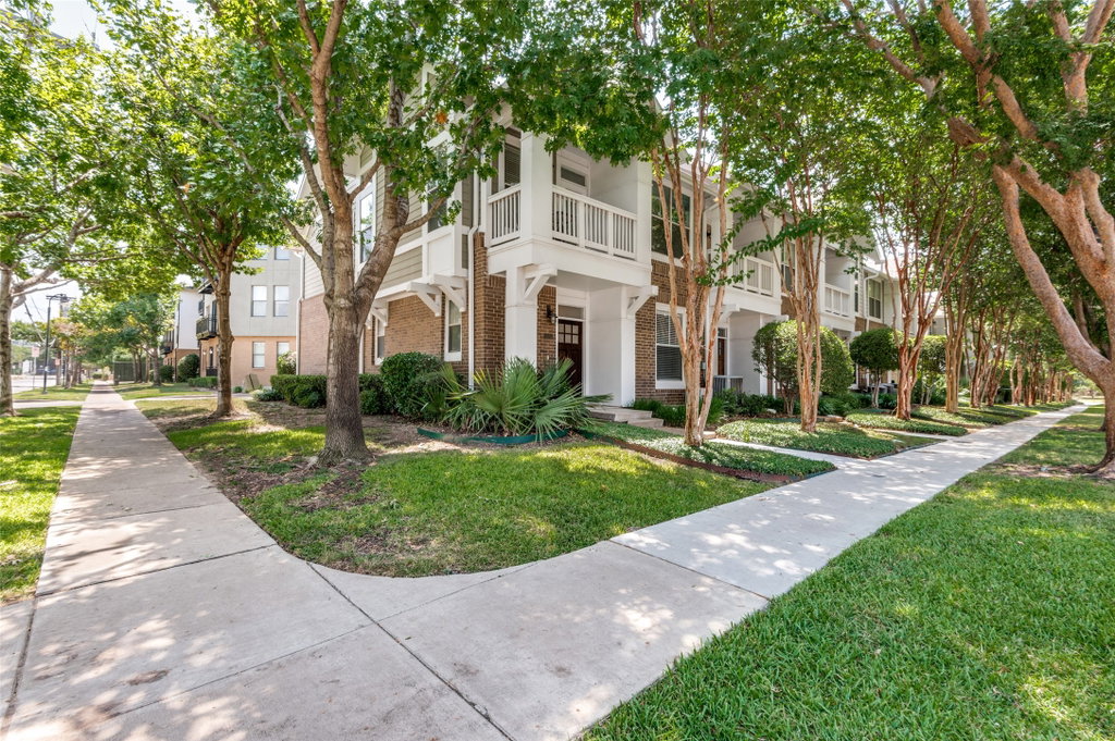 Media Image 1
