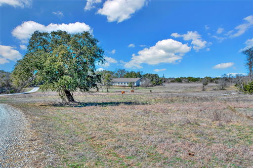 Media Image 3