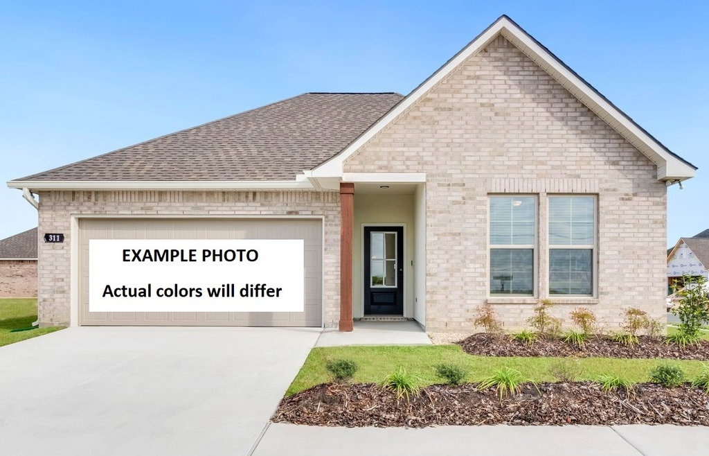 Media Image 1