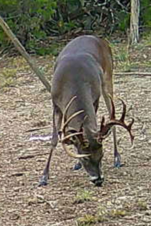 Media Image 2