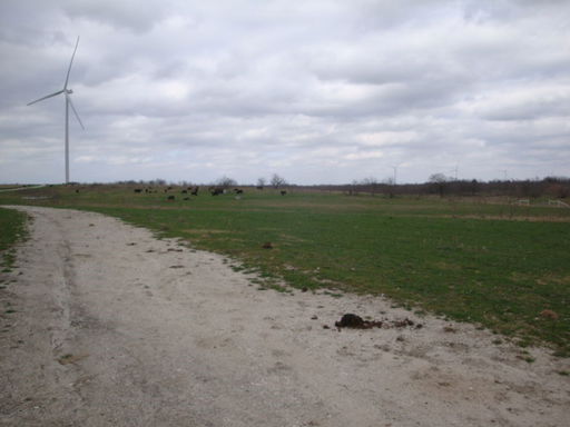 Media Image 2