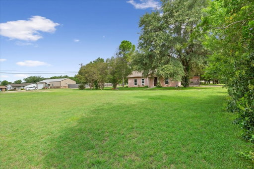 Media Image 3