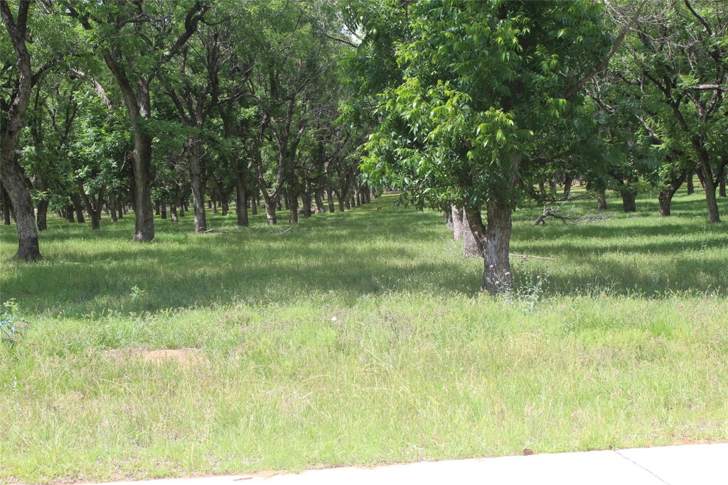 Image Unavailable
