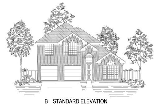 Media Image 3