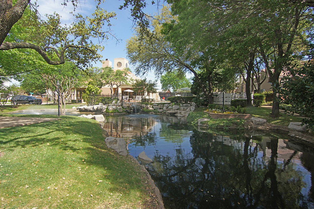 Media Image 1