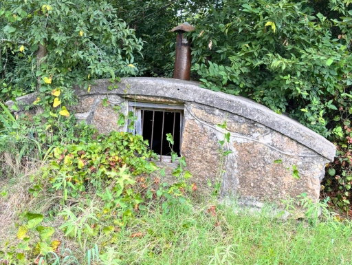 Media Image 3