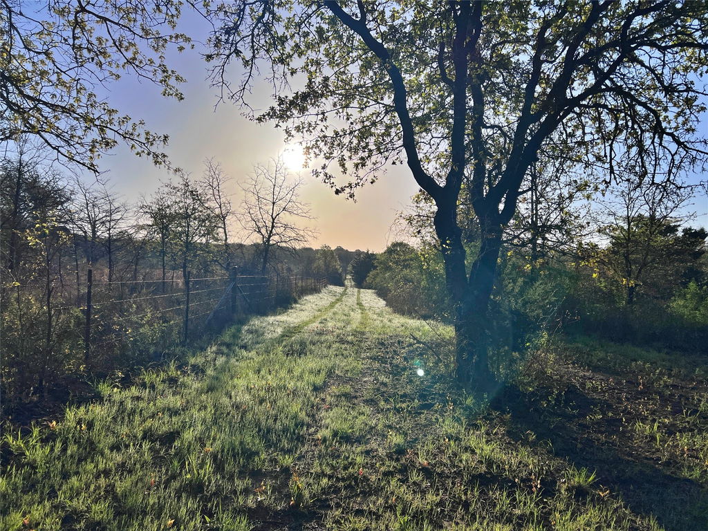 Image Unavailable