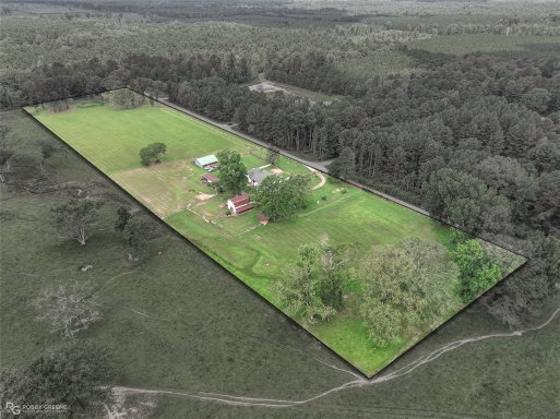Media Image 2