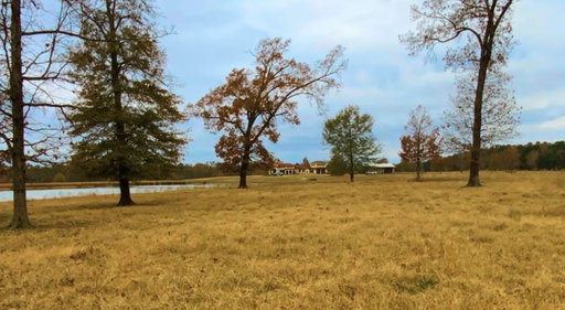 Media Image 2