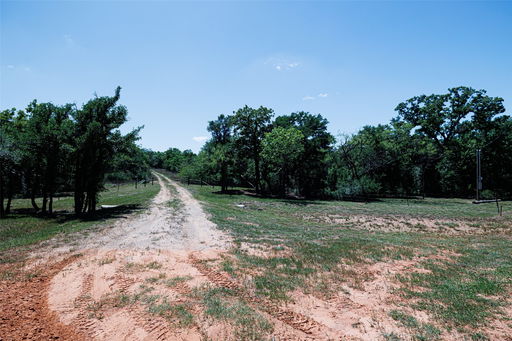 Media Image 2