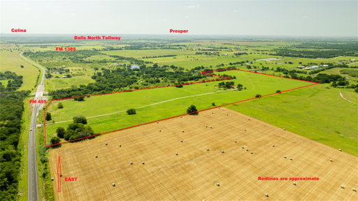 Media Image 2