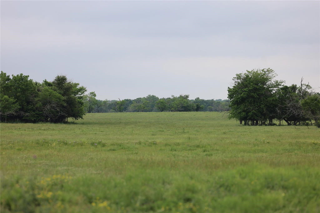 Media Image 1
