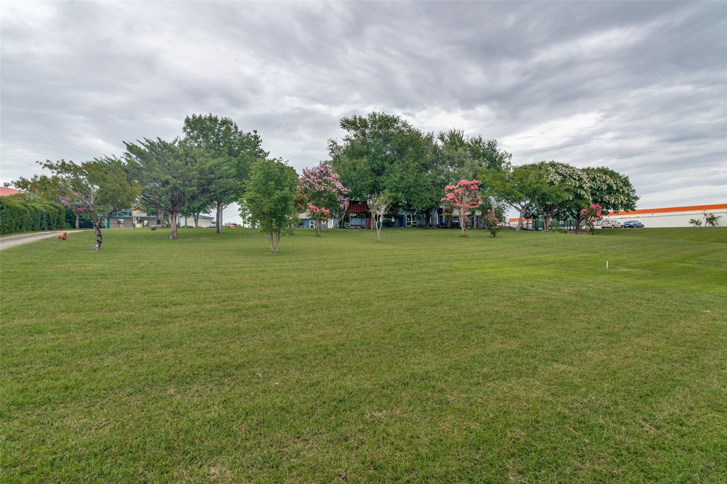 Media Image 1