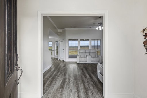 Media Image 3
