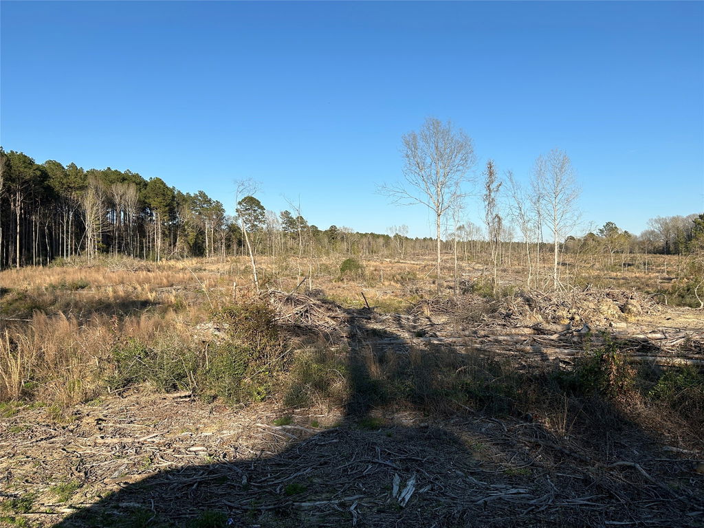 Media Image 1