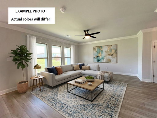 Media Image 2