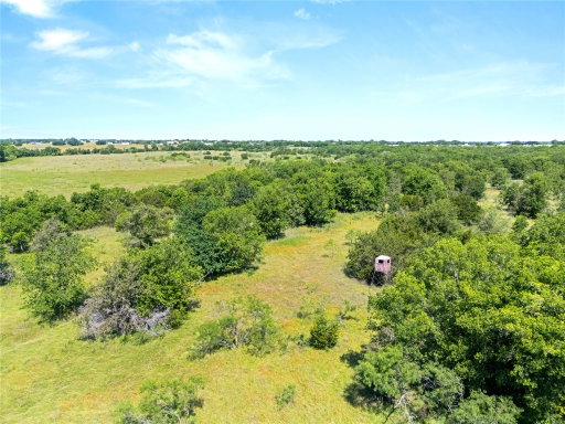 Media Image 2