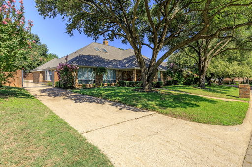 Media Image 3