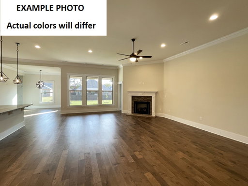 Media Image 2