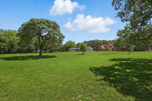 Media Image 3
