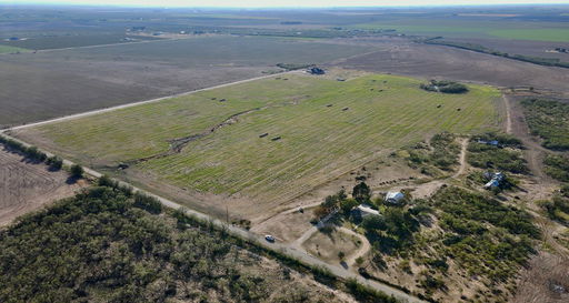 Media Image 2