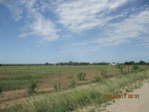 Media Image 2