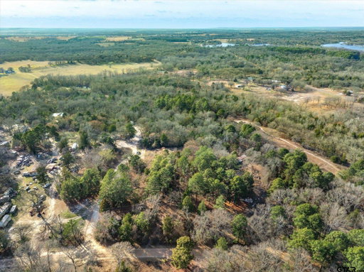Media Image 3