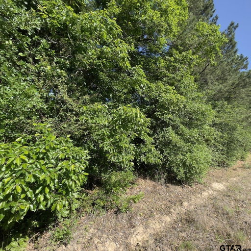 Media Image 2