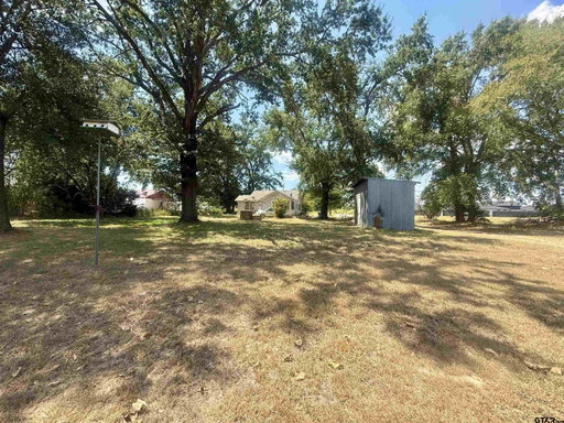 Media Image 3