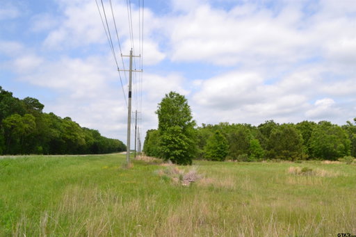 Media Image 3