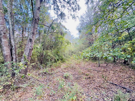 Media Image 3
