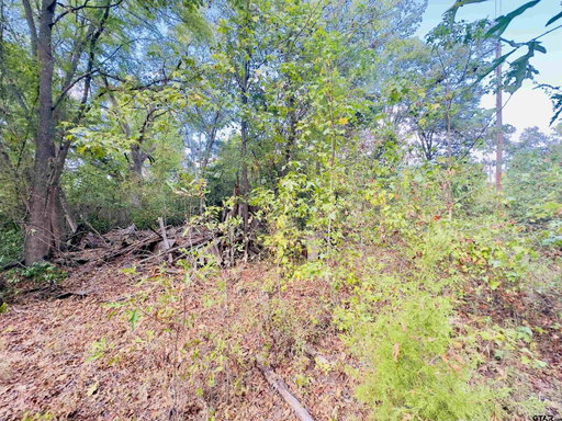 Media Image 2