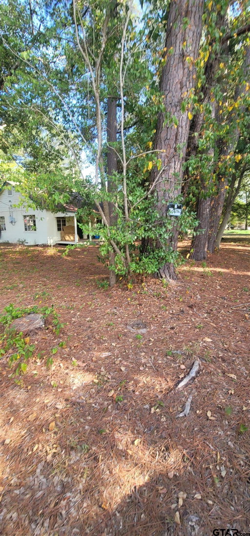 Media Image 3