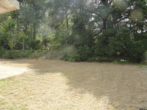 Media Image 3
