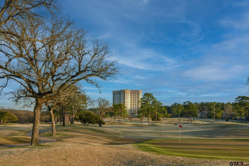 Media Image 2