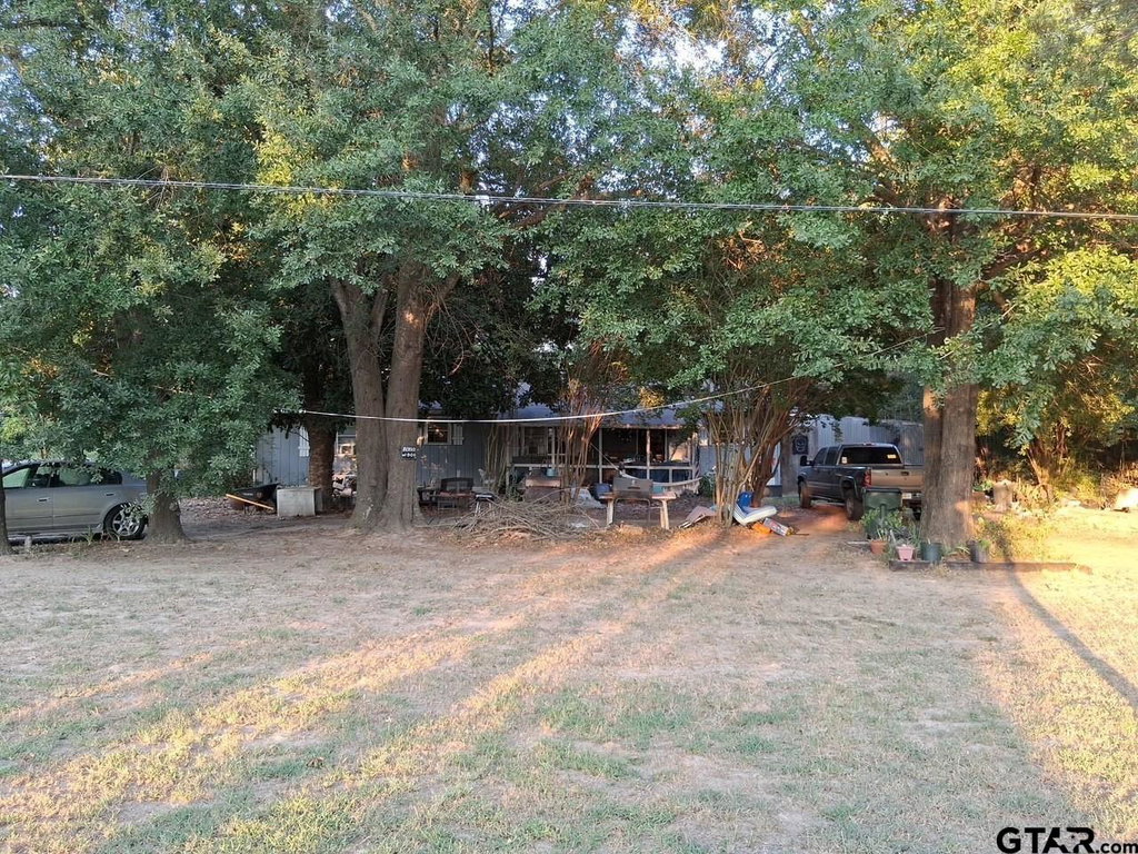 Media Image 1