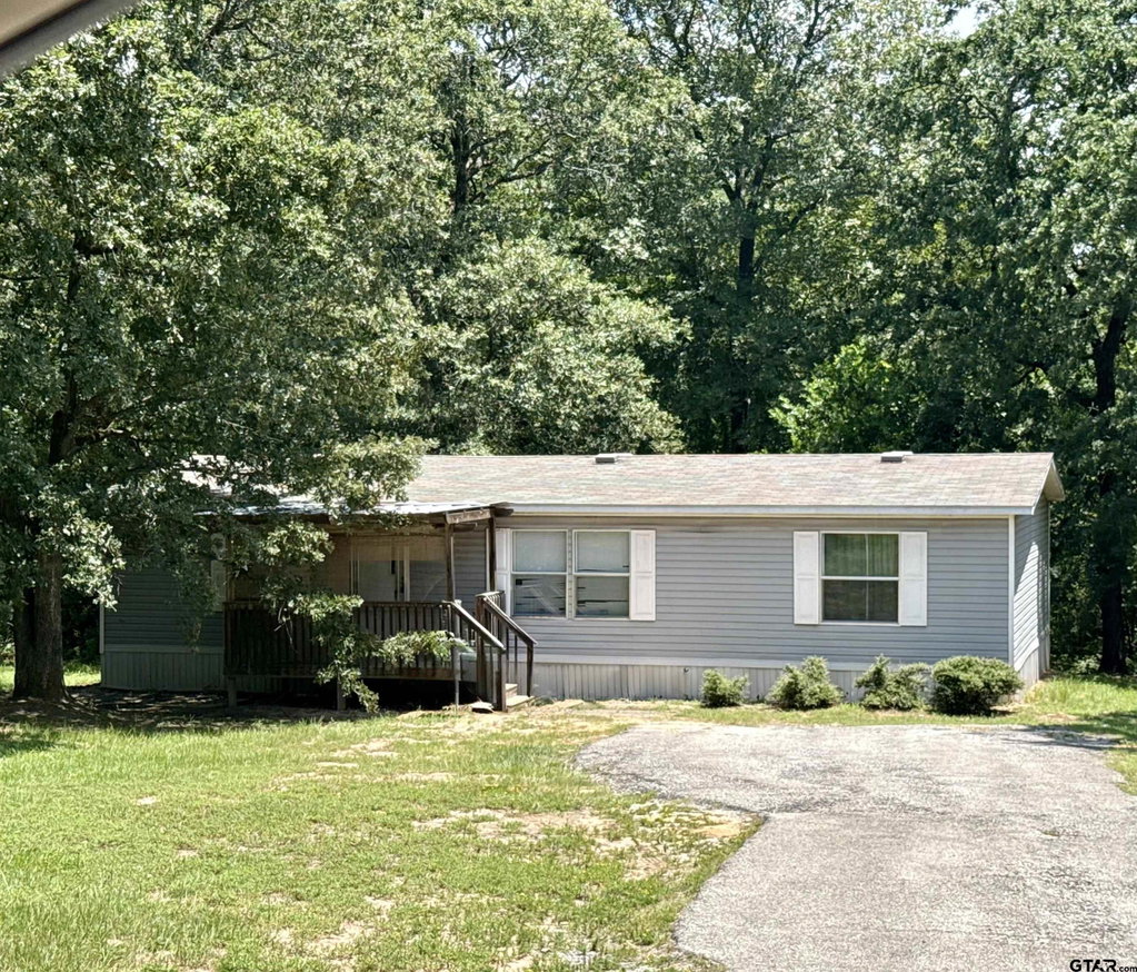 Media Image 1
