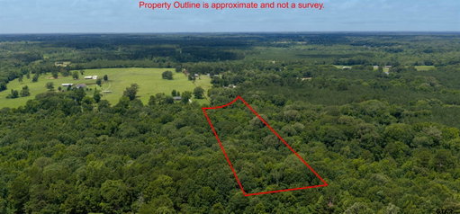 Media Image 2