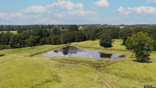 Media Image 2
