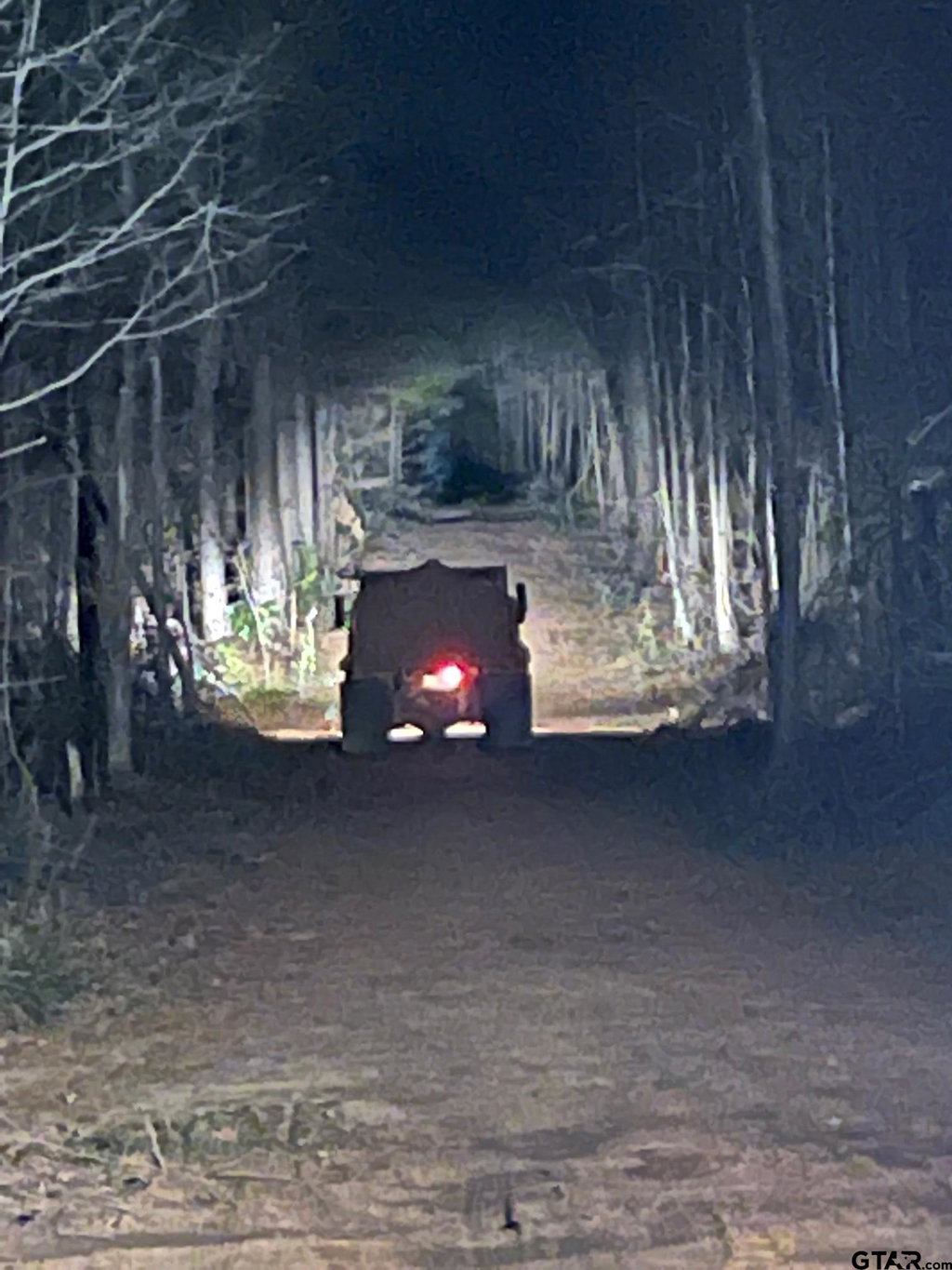 Media Image 1