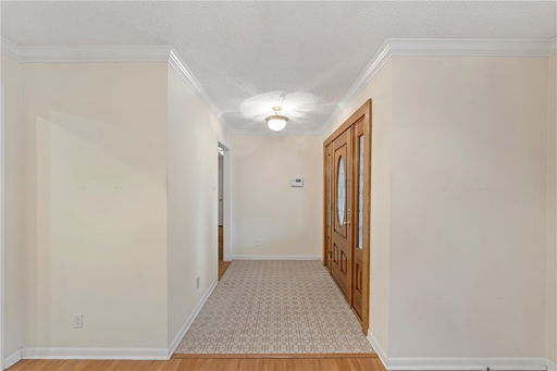Media Image 3