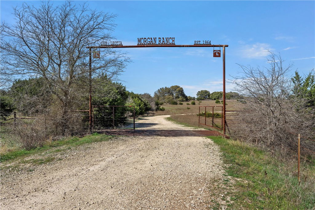 Media Image 1