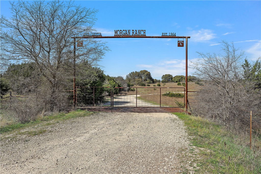 Media Image 1