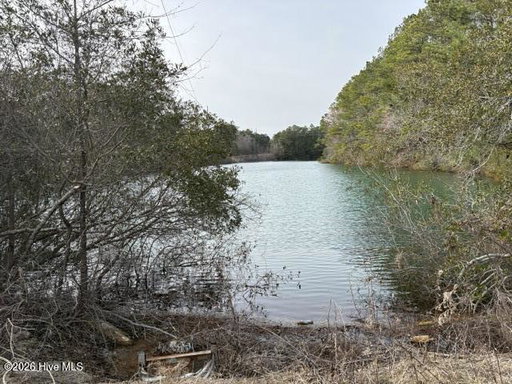 Media Image 3