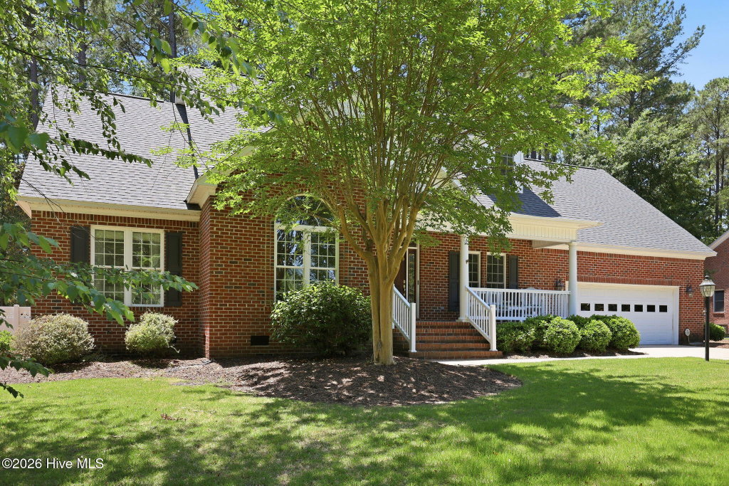 Media Image 1