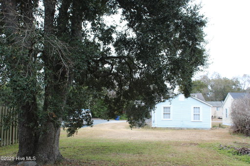 Media Image 2