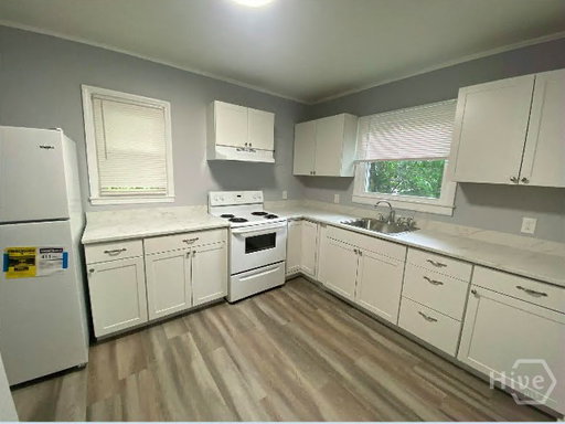Media Image 3